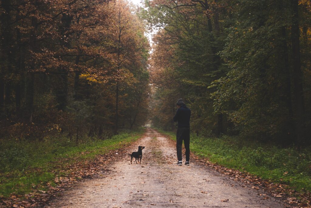 man in black jacket walking on pathway between green trees during daytime