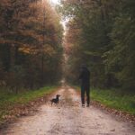 man in black jacket walking on pathway between green trees during daytime