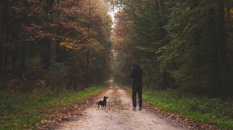 man in black jacket walking on pathway between green trees during daytime